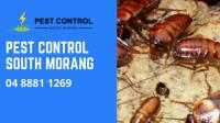 Pest Control South Morang image 2